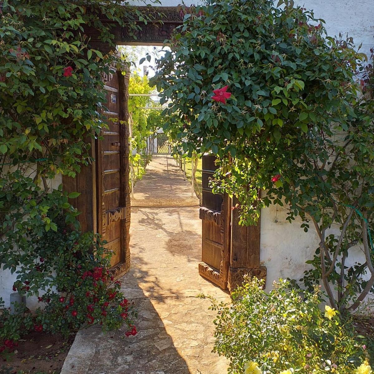Bed and Breakfast Masseria Boezio Ostuni Торре-Санта-Сабина Экстерьер фото